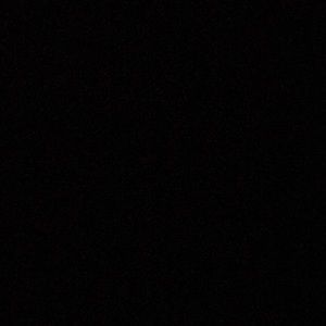 Meet your Posher, Abbie